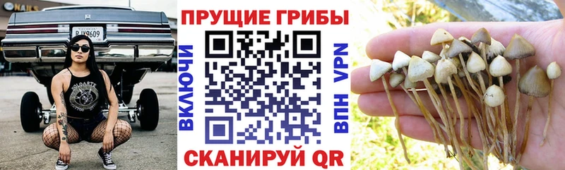 Галлюциногенные грибы ЛСД  Санкт-Петербург 